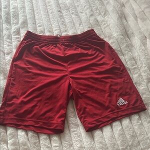 Adidas Men's Crimson Athletic Shorts